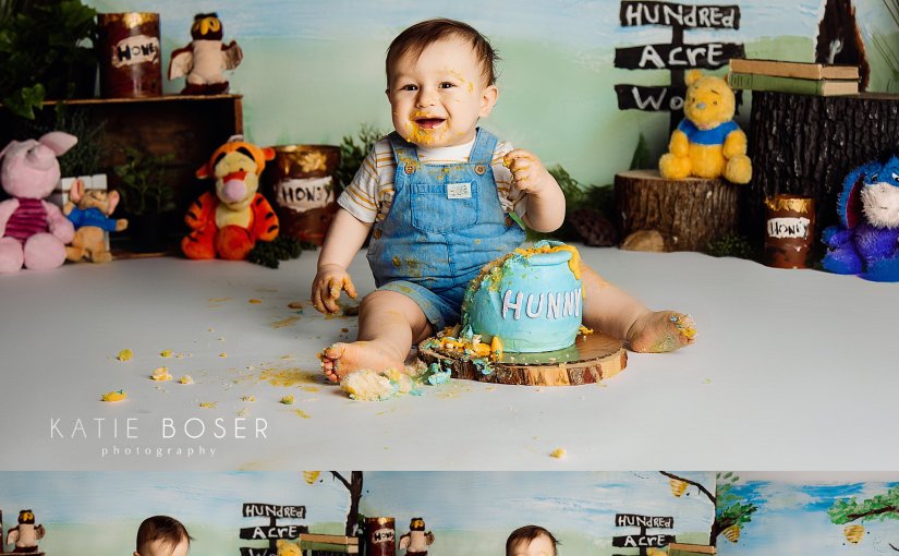 A Winnie The Pooh Cake Smash Session| Pooh first Birthday |Katie Boser Photography | Bradford Pa 16701